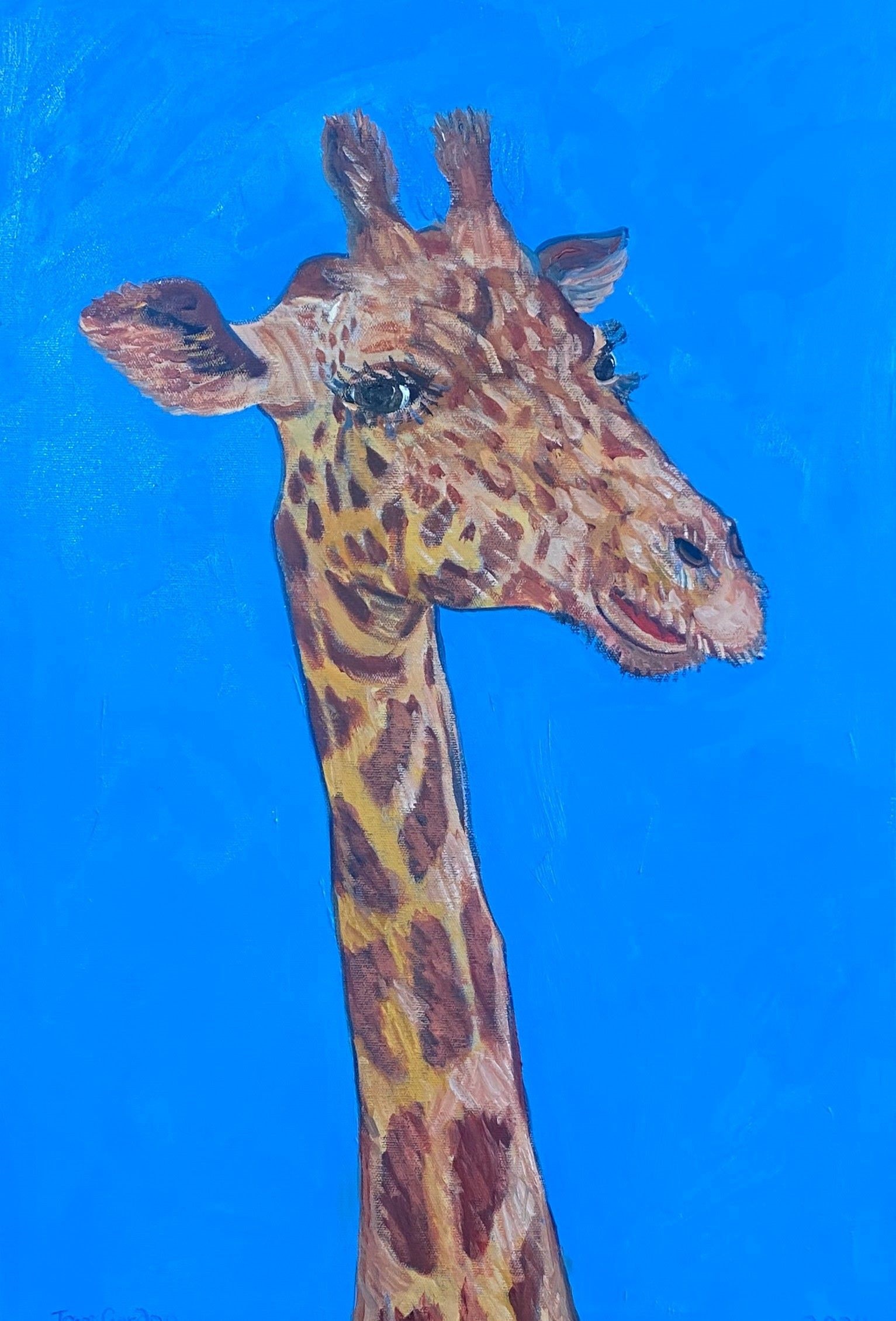 Head of a giraffe on a blue background.