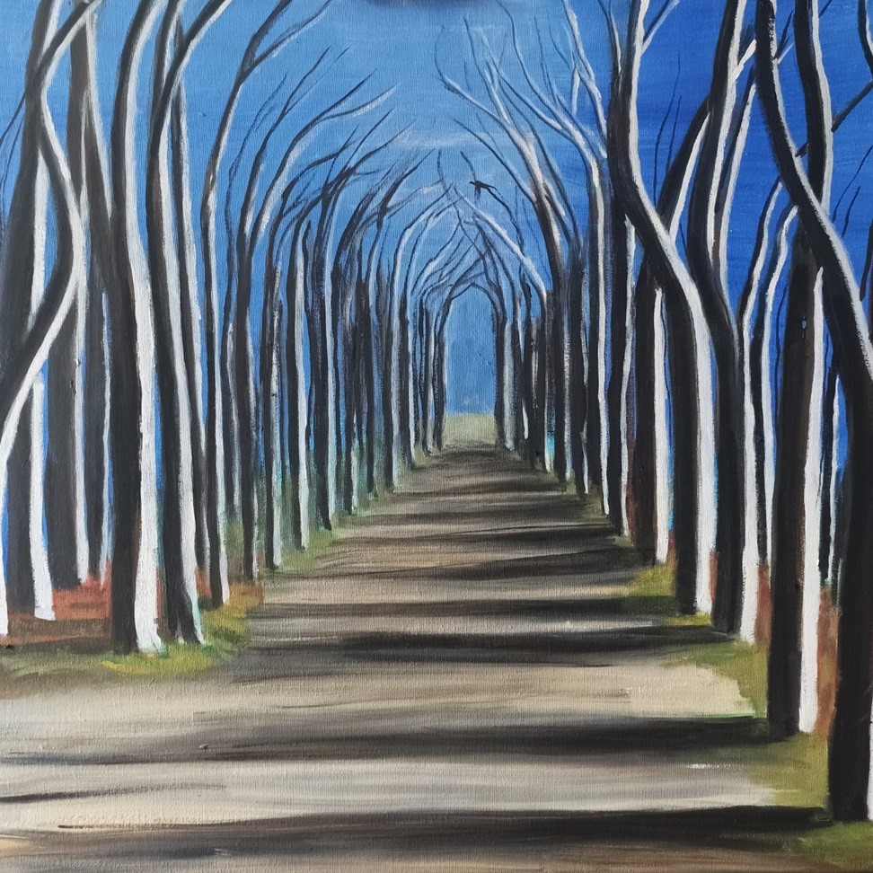 Bare winter trees line a straight path.