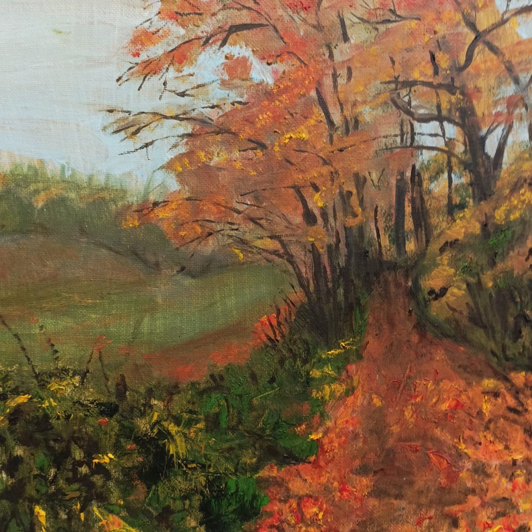 Autumn trees along a path covered in brown leaves.